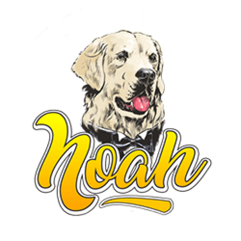 Bere Noah x Brew Your Mind Collab