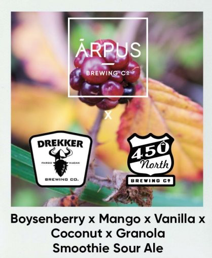 Boysenberry x Mango x Vanilla x Coconut x Granola Smoothie Sour Ale - Ārpus Brewing Co. Sour - Smoothie / Pastry 440ml
