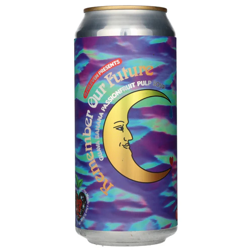 Remember Our Future (PULP) - Elmeleven Sour - Fruited 440ml