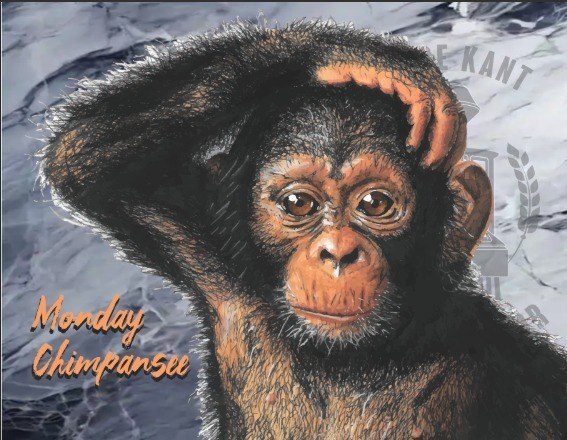 Monday Chimpanzee