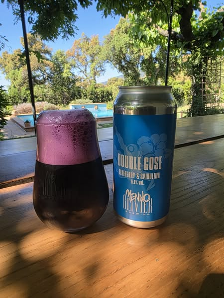 Double Gose : Blueberry & Spirulina