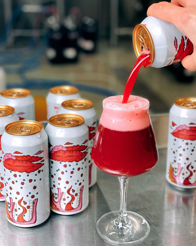 Wild Berry Shower - FERMENTERARNA Sour - Fruited 440ml