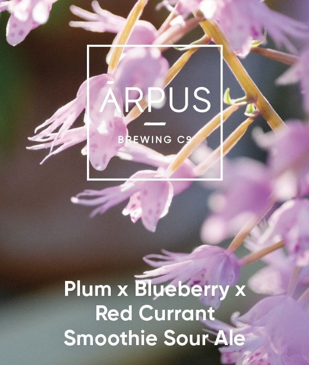 Plum x Blueberry x Red Currant Smoothie Sour Ale - Ārpus Brewing Co. Sour - Smoothie / Pastry 440ml