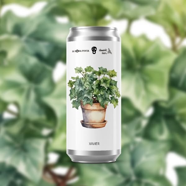 Xavier - La Pirata Brewing IPA - American 440ml