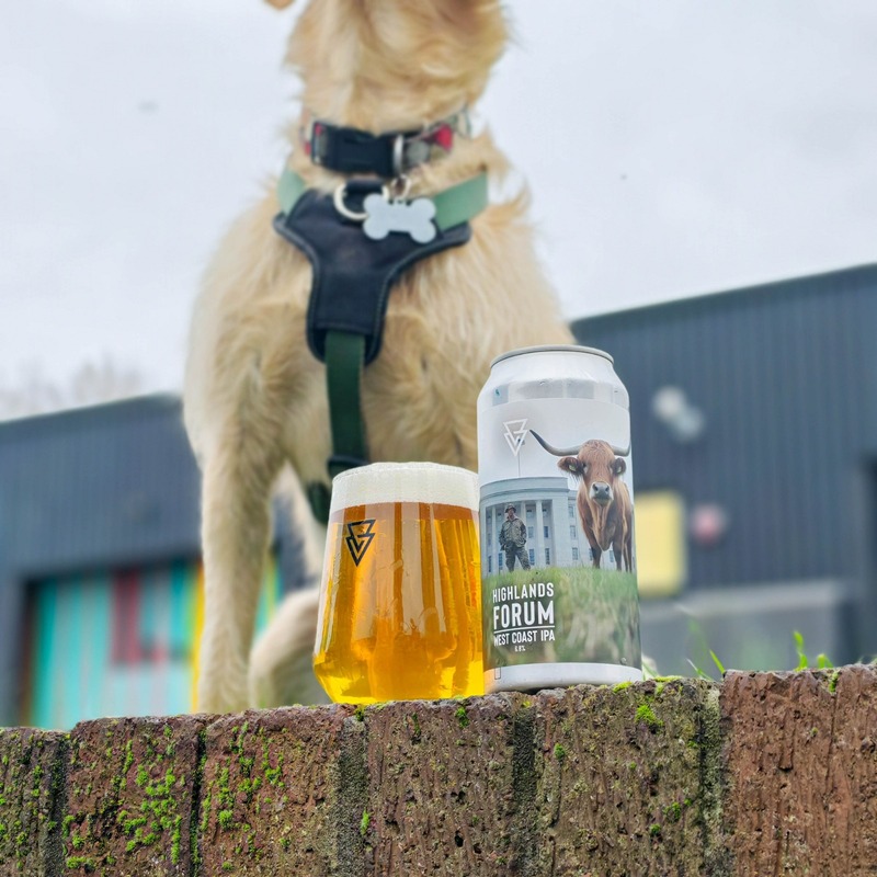 Highland Forum - Azvex Brewing Company IPA - American 440ml