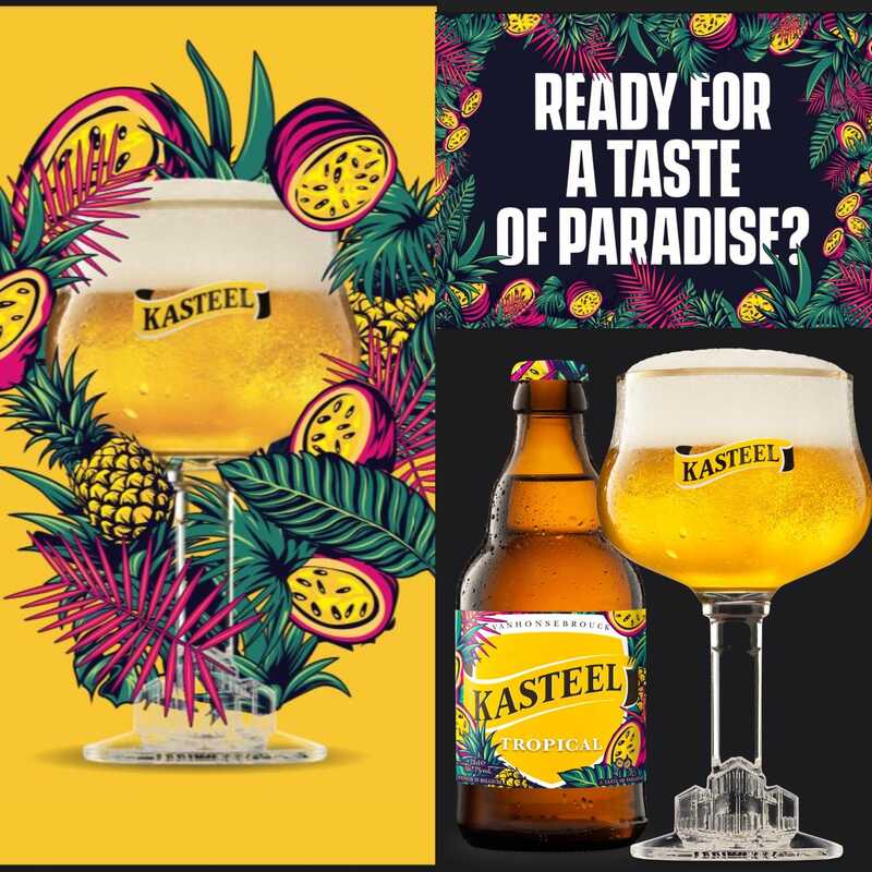 Kasteel Tropical - Kasteel Brouwerij Vanhonsebrouck Fruit Beer 330ml