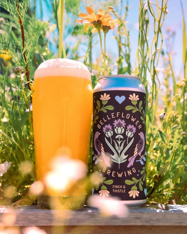 DDH Finch & Thistle - Belleflower Brewing IPA - New England / Hazy 473ml