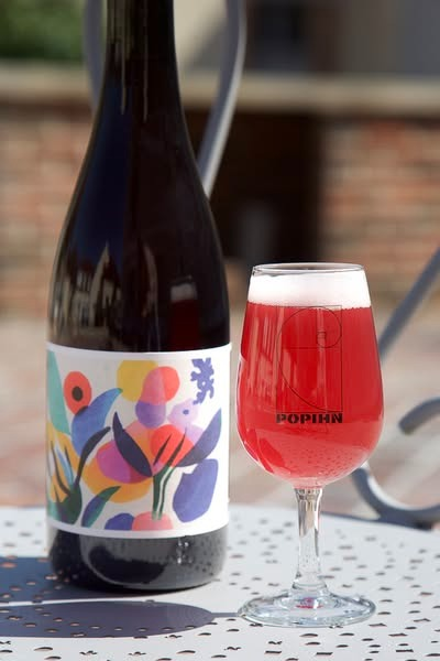 Pineau D'Aunis - Popihn Wild Ale - Other 750ml