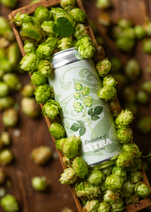 Evolution of Citra Pale Ale - Tree House Brewing Company Pale Ale - American 473ml