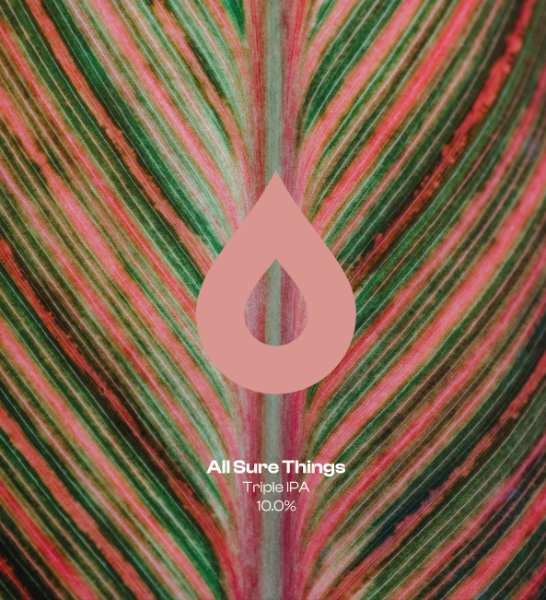 All Sure Things - Polly's Brew Co. IPA - Triple 440ml