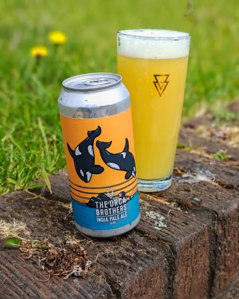 The Orca Brothers - Azvex Brewing Company IPA - New England / Hazy 440ml